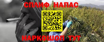 трава Кинель