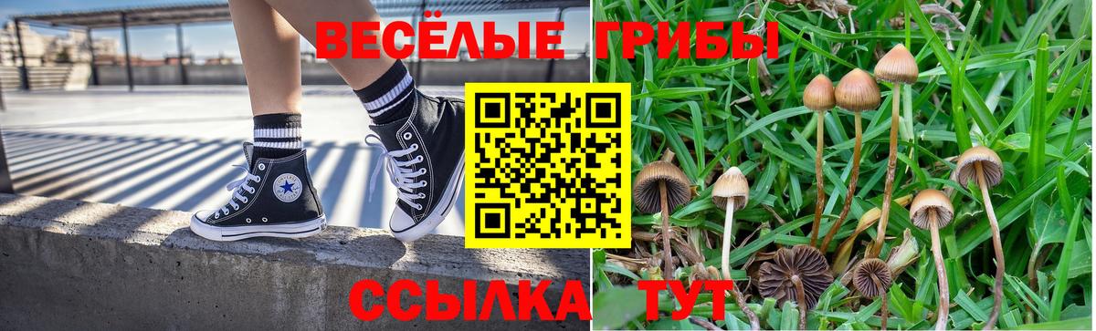 Глазов  Псилоцибиновые грибы мицелий  Вход с VPN  Галлюциногенные грибы мицелий 